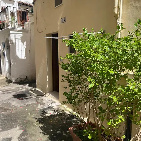 Vico Santo Oronzo Apartment